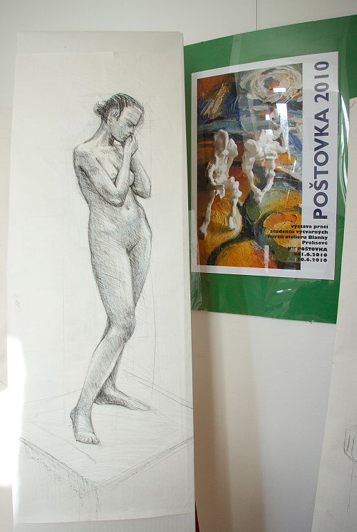 Společná výstava, červen 2010